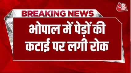 अरावली विवाद के बाद भोपाल में पेड़ों की कटाई पर लगी रोक, देखें ये रिपोर्ट