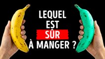 22 fruits excentriques que vous n'avez jamais vus auparavant
