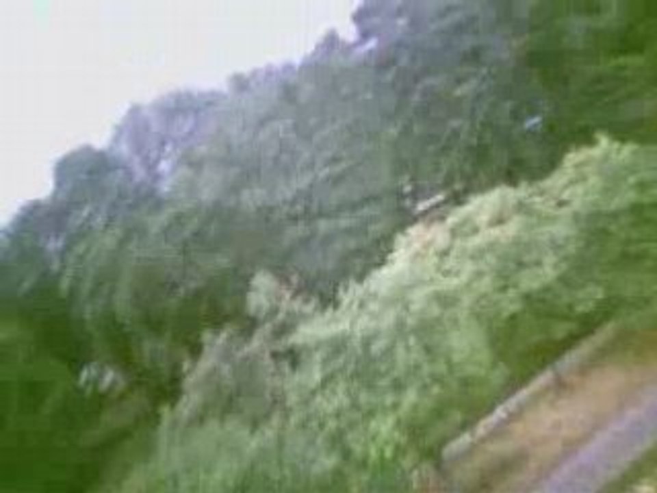Bagatelle_25082008