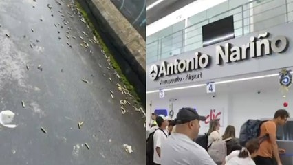 ⁠Cierre en la vía Panamericana por hostigamiento contra la fuerza pública provocó que familias enteras perdieran sus vuelos