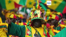 AFCON 2025: DR Kongo, Senegal, Nigeria und Tunesien im Auftakt