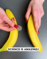 When science meets bananas