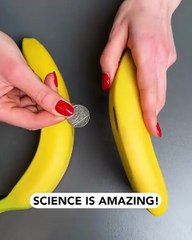 When science meets bananas