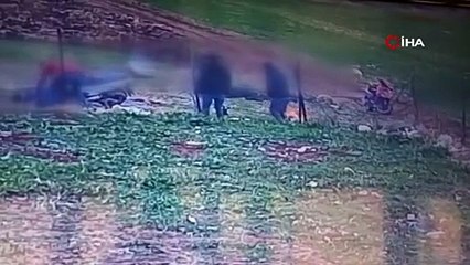 Madde etkisindeki şahıslar tek tek yere yığıldı