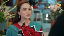 Meri Bahuain ep 7 Pakistani drama