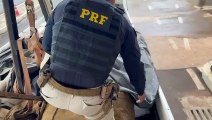 PRF apreende mais de uma tonelada de agrotóxicos em Alto Paraíso, na divisa do PR com MS