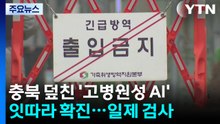 "연이틀 확진" 충북 덮친 고병원성 AI...전국 일제 검사 착수 / YTN