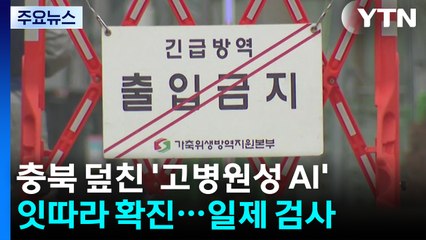"연이틀 확진" 충북 덮친 고병원성 AI...전국 일제 검사 착수 / YTN