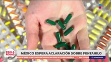 México evalúa impacto por decisión de EUA sobre fentanilo | DPC con Paola Rojas