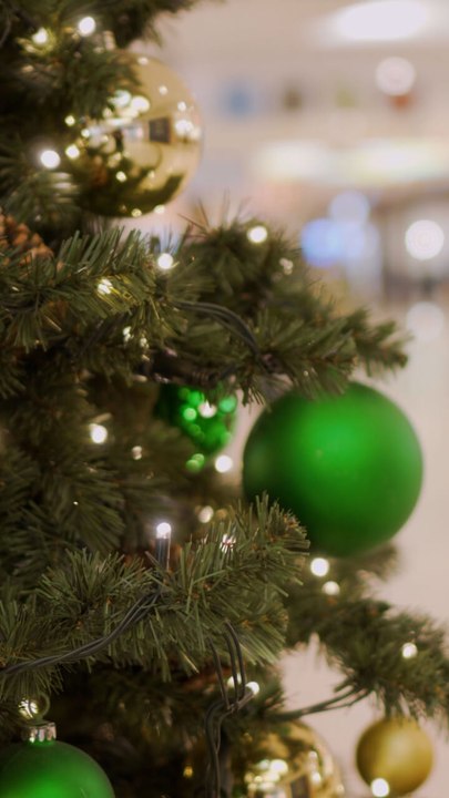 How Trump’s tariffs have spiked the cost of Christmas trees
