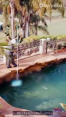 One Night, Two Babies- From One-Night Fling to Billionaire's Love