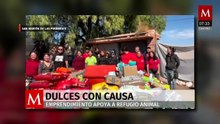 Carla Bautista usa emprendimiento para apoyar a refugio animal en San Martín de las Pirámides