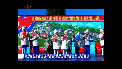 Mudanças para novas moradias