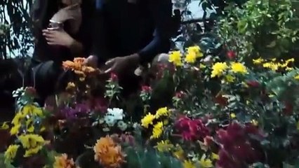 فيلم دكان شحاته كامل في الوصف الجزء 1 الان