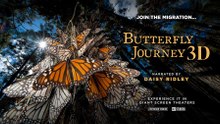 Primer Tráiler Oficial de 'Butterfly Journey'