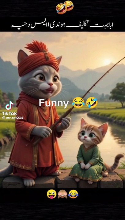 Abba dil ice boht taklif hoti hai Cute cat funny video and life