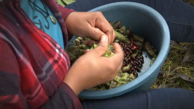 Aumenta la afluencia en el Mercado Público de Colón por compras navideñas