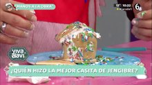 Elenco de Vivalavi Mx decora su casa de jengibre