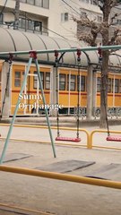 Be My Heart Be Your Eye Shortical