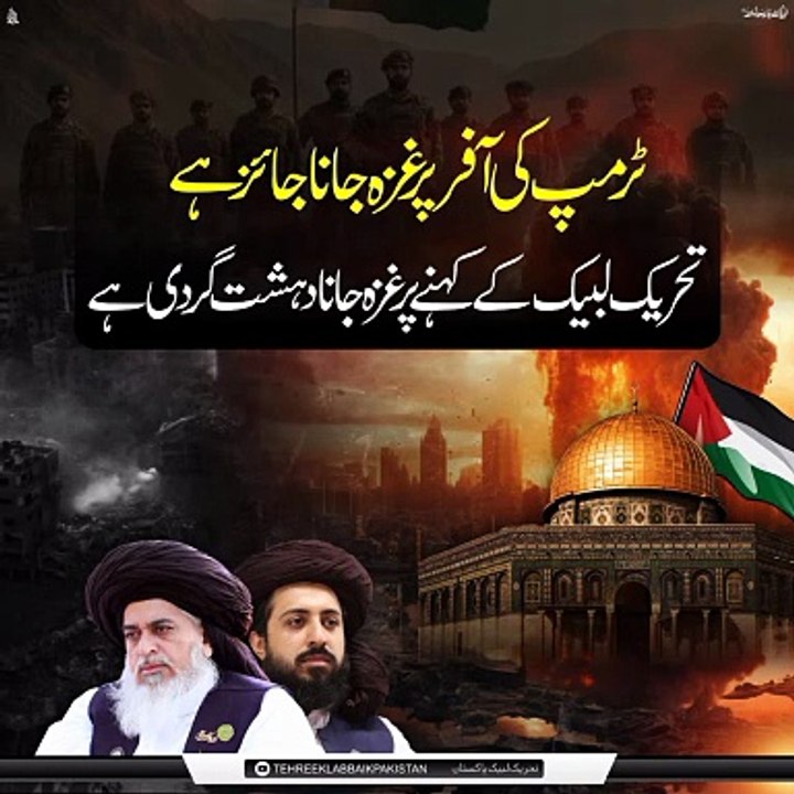 ڈونلڈ ٹرمپ کی آفر پر غزہ جانا جائز ہے
