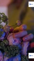 [New Drama] The Fighter Who Stole My Pulse #reelshort - Full Movie | Drama Video Studio