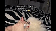Guendalina tavassi story natalizie