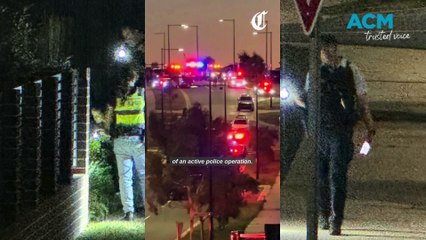 Christmas Eve police operation in Whitlam