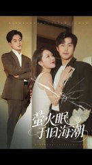 萤火眠于旧海潮31-63（63集）钟莹玲&贺龙天