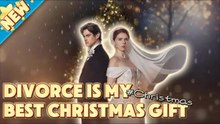 DIVORCE IS MY BEST CHRISTMAS GIFT