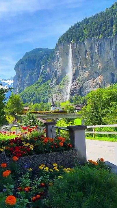 VID-fresh leaves and flowers 🌸🌹