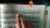 Learn Quran at home surah Al Baqarah