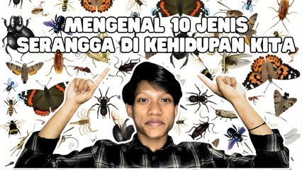 Jenis Serangga yang Paling Sering Ditemui Manusia