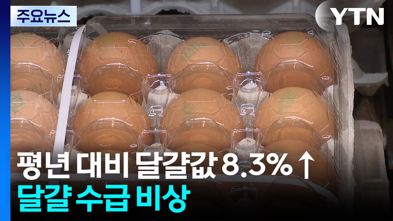 달걀부터 칼국수까지...연말 먹거리 물가 '들썩' / YTN