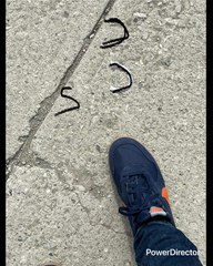 MANO DE D-IOS Y 1 VARITA MÁGICA (DEDO ÍNDICE) ES FUERZA DIVINA 2 ESPADA ES LA FORTALEZA HUMANA 3 CÁLIZ SE ALZA PARA RECIBIR INFLUENCIAS CELESTIALES 4 PENTACULO CONEXIÓN CON EL MUNDO MATERIAL