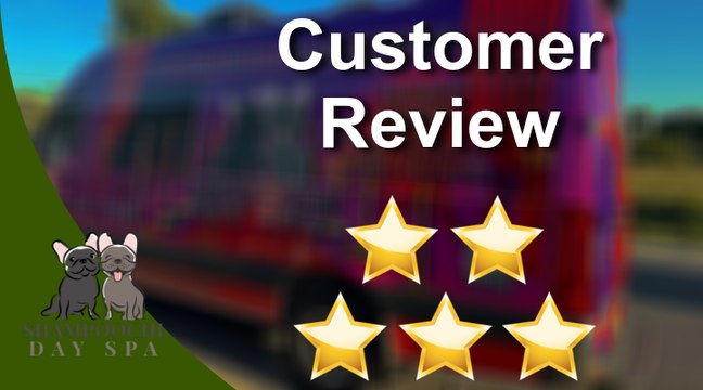 Shampoochi Day Spa Port St. Lucie Wonderful Five Star Review by Patrick Nelson