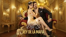 Finalizado Dije Sí Al Rey De La Mafia Episodio Completo🎥 Filmscope