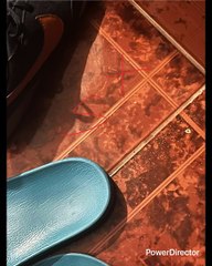 S Y CRUZ=EL ELEGIDO/EL ENVIADO 2 CAGLIOSTRO ERA UN TIPO YESHUA BAJABA VASIJAS DE ORO CONVERTÍA EL AGUA EN VINO PERO FUE PERSEGUIDO JUZGADO VILIPENDIADO FUE ACUSADO DE RATERO CHARLATÁN PACTO CON EL DIABLO TIENE  LA HUMANIDAD NUNCA SE HA DEJADO AYUDAR