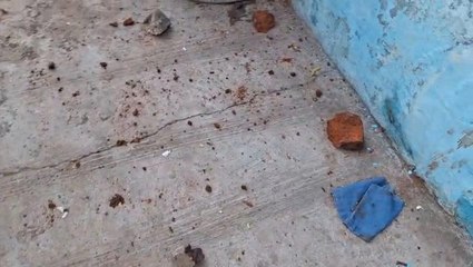 लव मैरिज करने पर दो परिवार के बीच सुलह कराते समय पंचों के सामने चले ईंट व पत्थर, 6 घायल