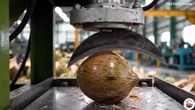 Coconut Milk Factory