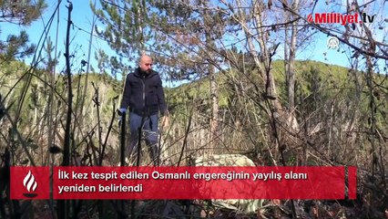 Adı Osmanlı, boyu 1 metre! Çankırı'da ortaya çıkan tür şaşırttı