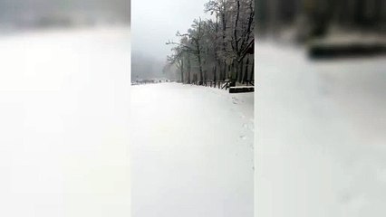 Amiata, un Natale 2025 davvero magico: il paesaggio sotto una fitta nevicata