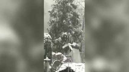 Torino, sorpresa di Natale sulla collina di Torino: fiocchi copiosi a Superga come non capitava da 20 anni