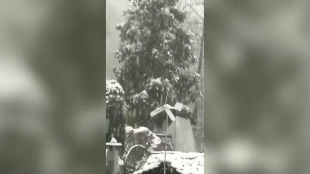 Torino, sorpresa di Natale sulla collina di Torino: fiocchi copiosi a Superga come non capitava da 20 anni