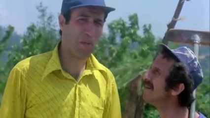 Avanak Apti Türk Filmi _ 4K ULTRA HD _ KEMAL SUNAL (1)