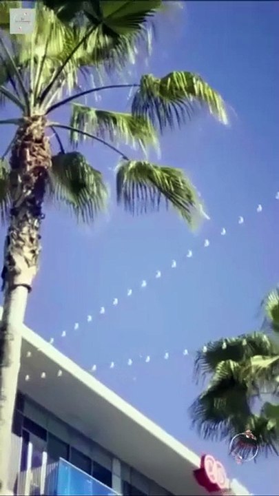 The Senator's Son [Full]