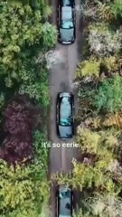 Reborn to Seize the Bouquet Drama Movies English Sub