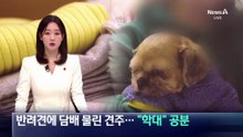 반려견에 담배 물린 견주…“학대” 공분