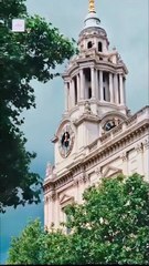 Opps! Nerdy Girl Is My Kitten #full