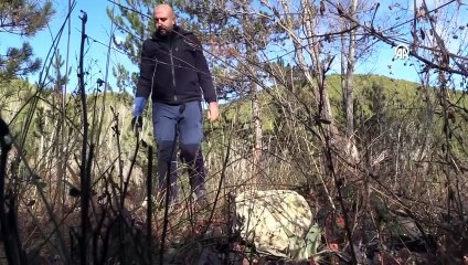 Osmanlı Engereği Çankırı’da ortaya çıktı