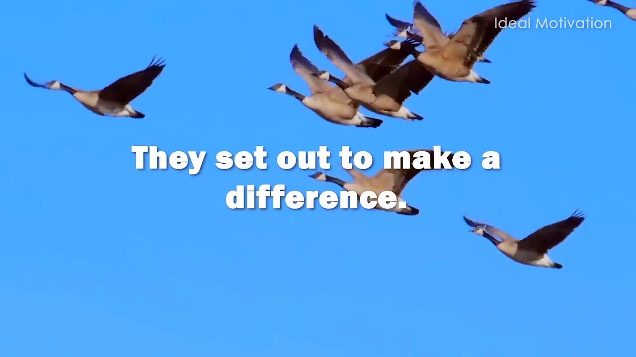 🦢 Wisdom of the Geese – Life-Changing Motivational Video